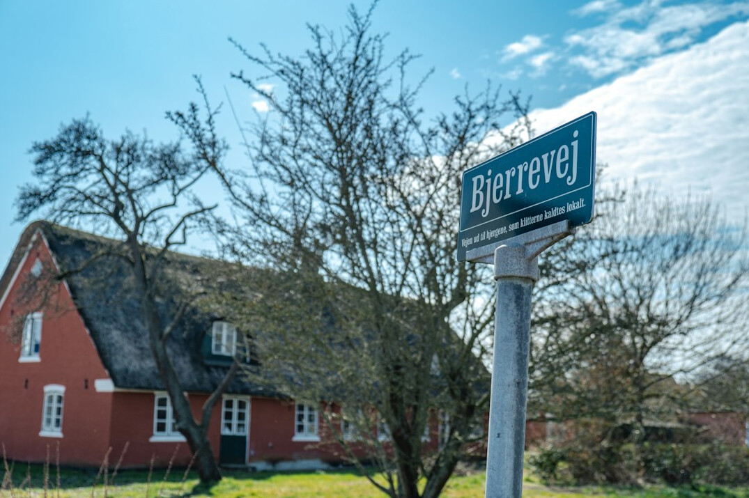 artist in danish village