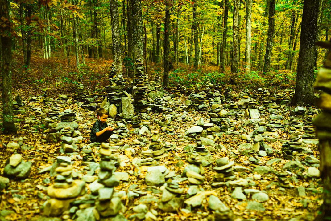 children playing in forest